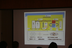 発表のスライド