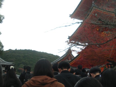 IMGP0006切り取り