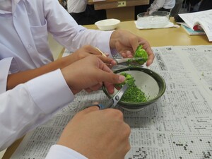 IMG_2390